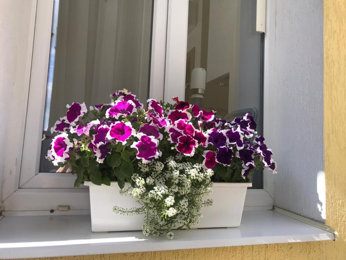 Villa Sofi Λβιβ Εξωτερικό φωτογραφία